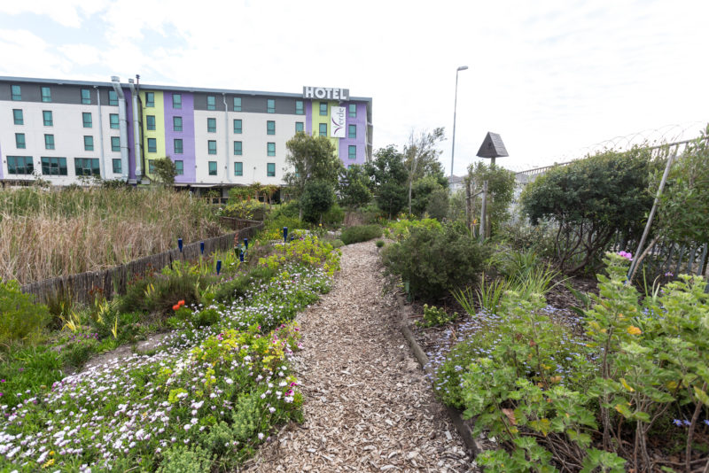 Hotel Verde finalist in the eco-logic awards
