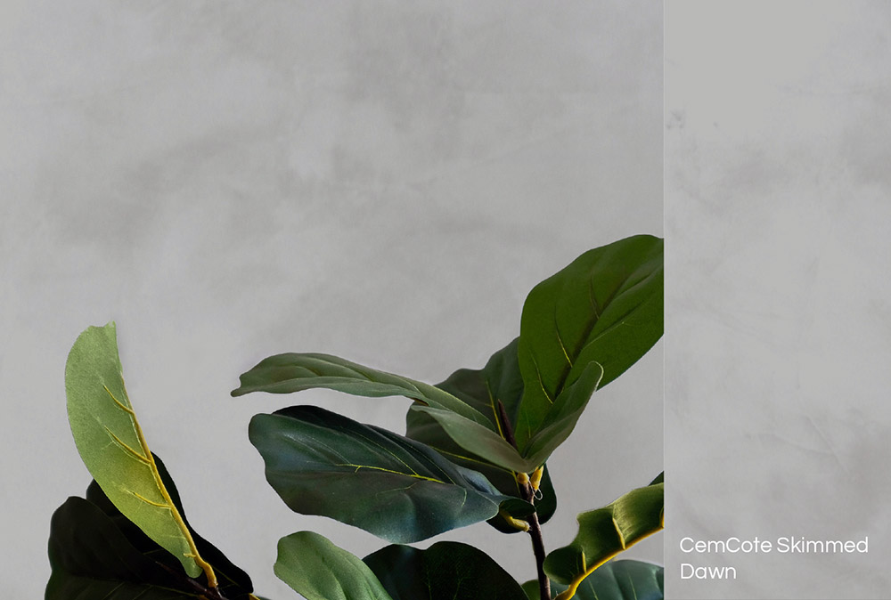 dawn neutral wall coating for concrete walls
